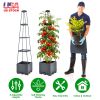 2Pack Raised Garden Bed Boxes with Trellis 56" Tomato Self-Watering Planter Box Indoor Outdoor with 4 Adjustable Heights 10 Clips 65FT Ties for Climbi