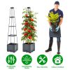 2Pack Raised Garden Bed Boxes with Trellis 56" Tomato Self-Watering Planter Box Indoor Outdoor with 4 Adjustable Heights 10 Clips 65FT Ties for Climbi