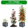 2Pack Raised Garden Bed Boxes with Trellis 56" Tomato Self-Watering Planter Box Indoor Outdoor with 4 Adjustable Heights 10 Clips 65FT Ties for Climbi