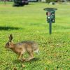 Solar Ultrasonic Animal Repeller Solar Powered Animal Repellent Chaser with PIR Motion Sensor IP54 Waterproof Sound Flashing Light for Deer Raccoon Sq