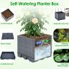 2Pack Raised Garden Bed Boxes with Trellis 56" Tomato Self-Watering Planter Box Indoor Outdoor with 4 Adjustable Heights 10 Clips 65FT Ties for Climbi